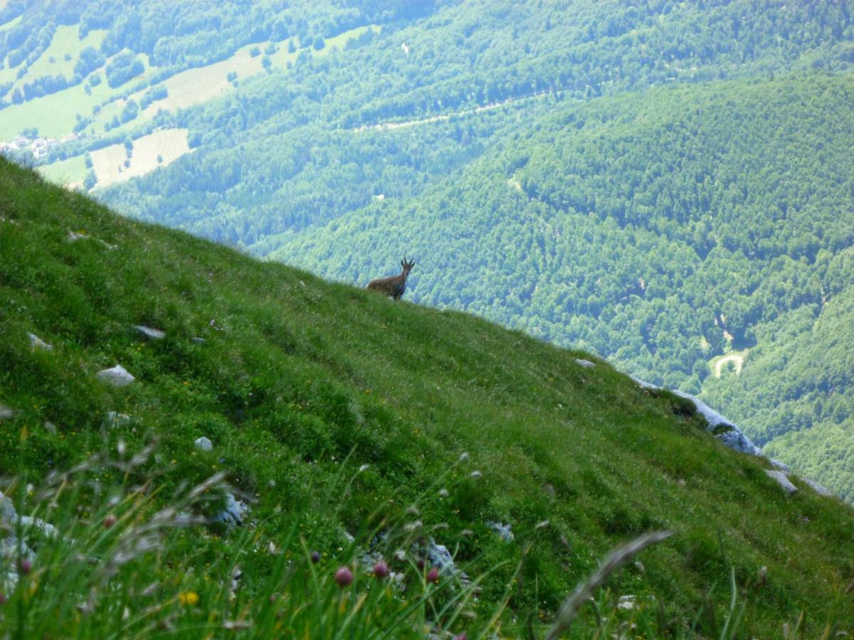 La Moraine Lejlighed Villard-de-Lans Eksteriør billede